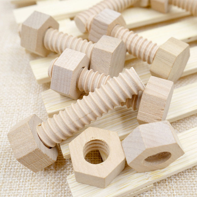 Screw Nut Assembling Wooden Toy